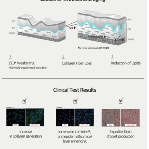 COPY - LOGICALLY SKIN Wrinkle Target Eye Cream - Picture 10 of 13